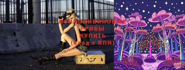 гашик Надым