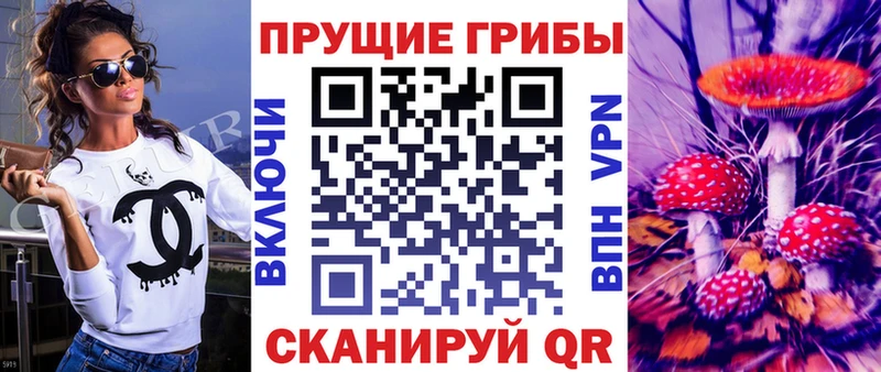 купить  сайты  Сосенский  Галлюциногенные грибы Psilocybe 